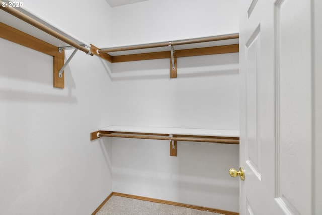 16917 SE Dunhill Loop, Damascus, OR 97089 - walk in closet with carpet flooring