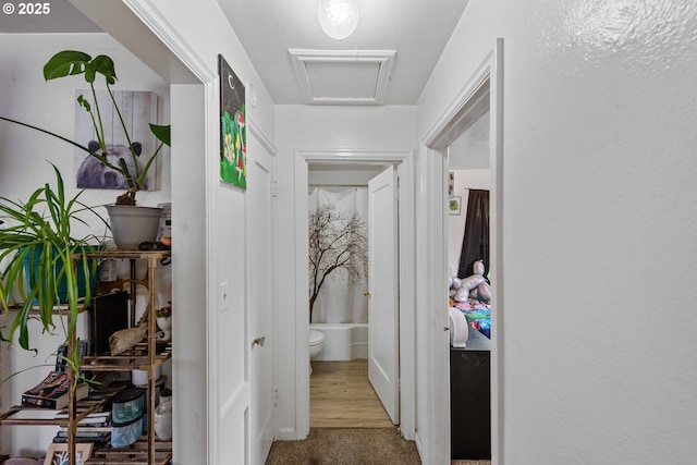 view of corridor