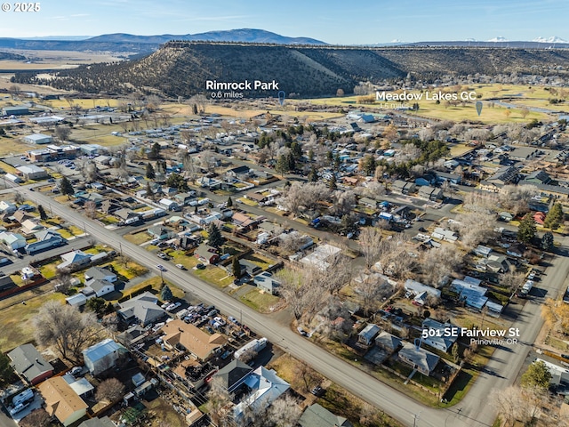 birds eye view of property with a mountain view