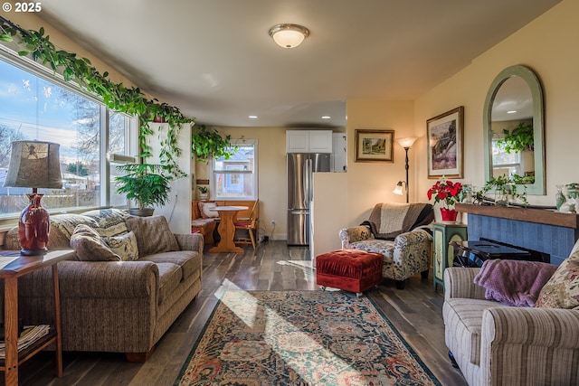 living room with dark hardwood / wood-style floors