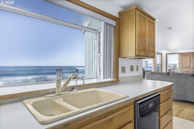 kitchen with sink, light hardwood / wood-style flooring, dishwasher, and a water view