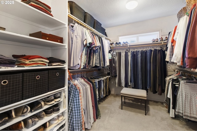 spacious closet with carpet