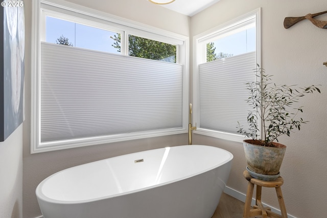 bathroom featuring a freestanding bath and baseboards