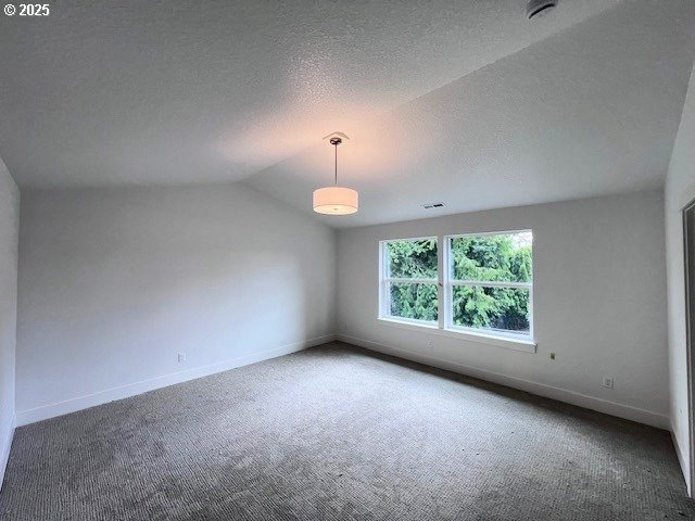 empty room with carpet floors, a textured ceiling, baseboards, and vaulted ceiling