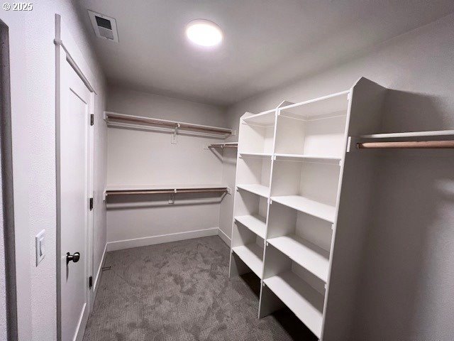 spacious closet featuring carpet
