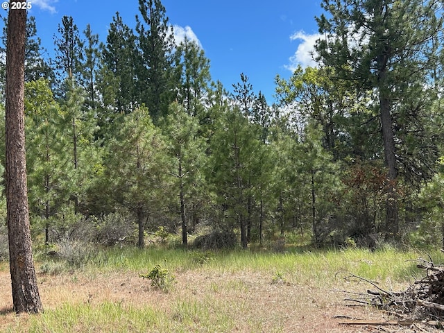 8 Lutz Pkwy, Goldendale, WA 98620