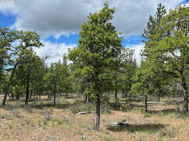 8 Lutz Pkwy, Goldendale, WA 98620