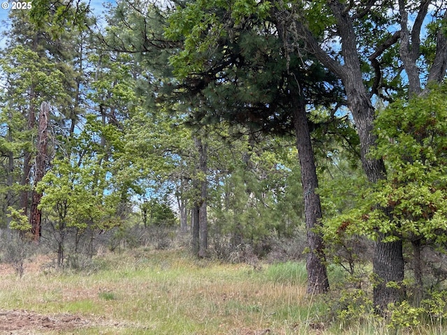 8 Lutz Pkwy, Goldendale, WA 98620