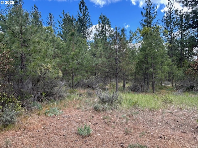 8 Lutz Pkwy, Goldendale, WA 98620