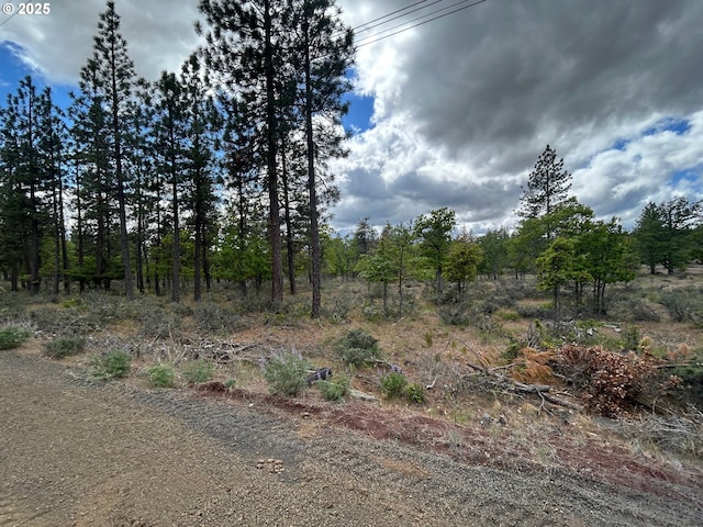 8 Lutz Pkwy, Goldendale, WA 98620