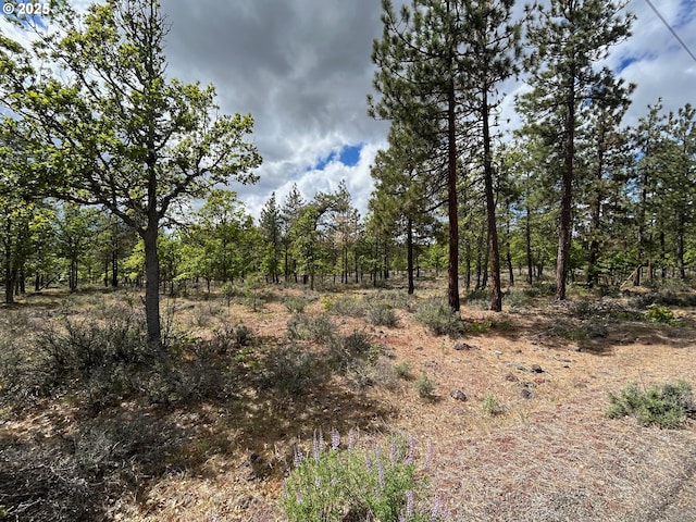 8 Lutz Pkwy, Goldendale, WA 98620