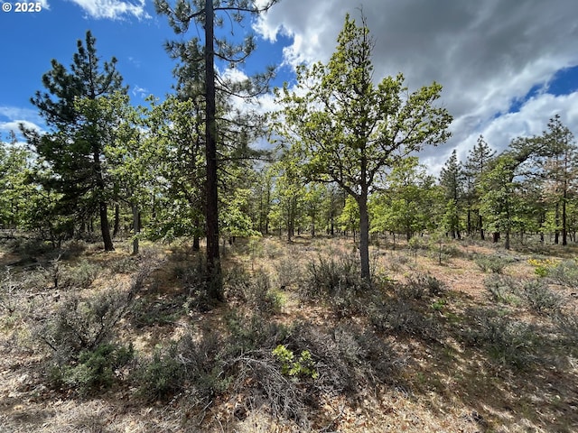 8 Lutz Pkwy, Goldendale, WA 98620