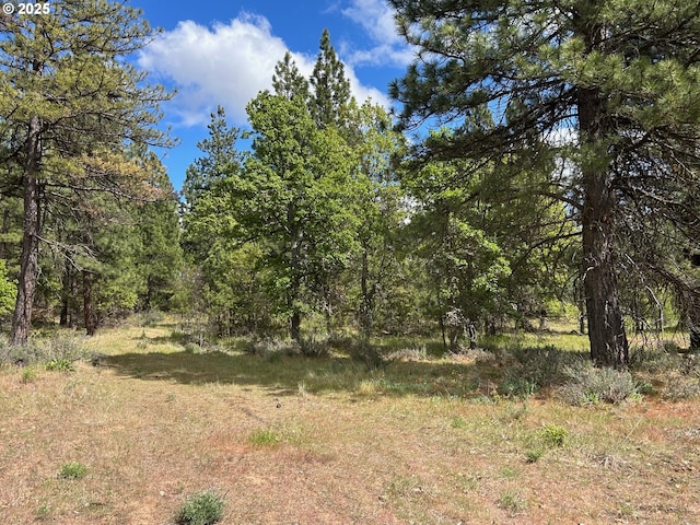 8 Lutz Pkwy, Goldendale, WA 98620