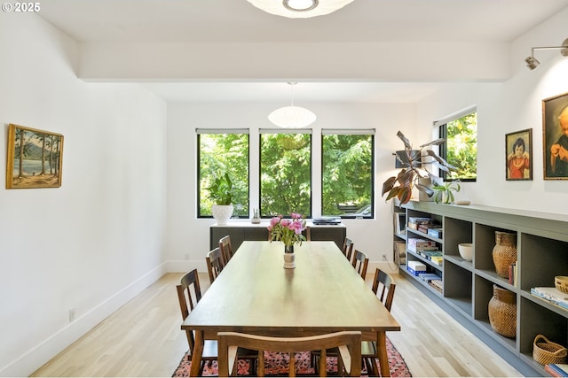 3419 SE Woodward St, Portland, OR 97202 - dining room with light wood finished floors and healthy amount of natural light