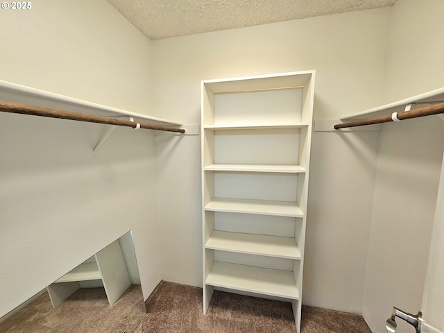 950 Evergreen Rd Unit 207, Woodburn, OR 97071 - spacious closet with carpet flooring