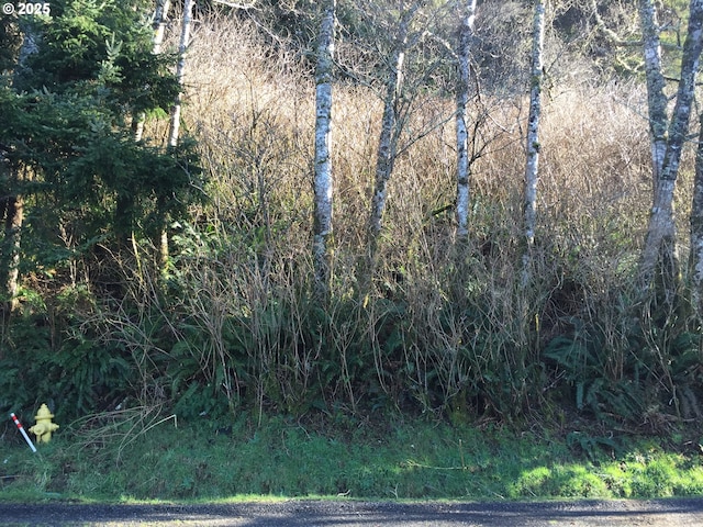 98 Crestview Dr, Yachats, OR 97498