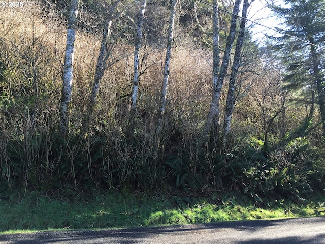 98 Crestview Dr, Yachats, OR 97498