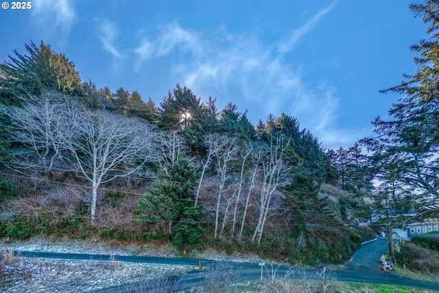 98 Crestview Dr, Yachats, OR 97498