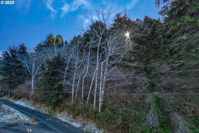 98 Crestview Dr, Yachats, OR 97498