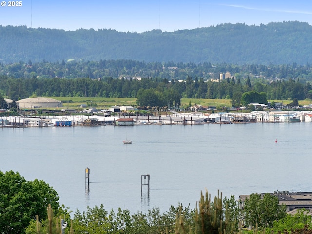 6002 E Evergreen Blvd, Vancouver, WA 98661 - water view featuring a heavily wooded area and a mountain backdrop