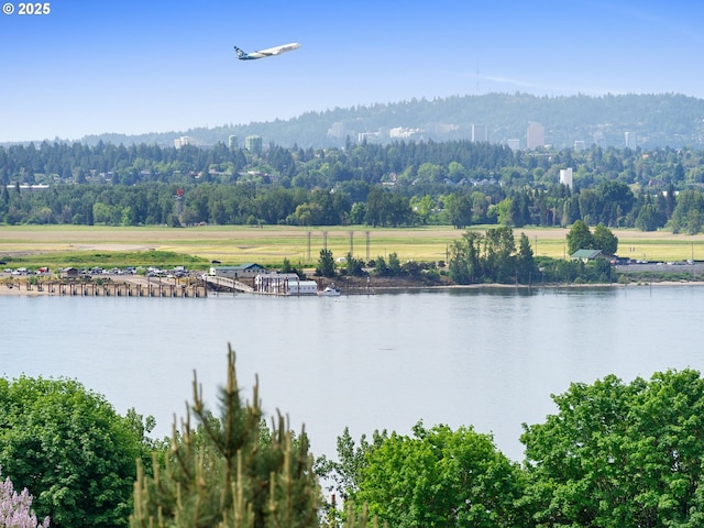 6002 E Evergreen Blvd, Vancouver, WA 98661 - water view with a heavily wooded area