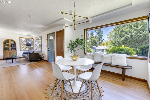 6220 SW 45th Ave, Portland, OR 97221 - dining room featuring a textured ceiling, light wood-style floors, baseboards, and healthy amount of natural light