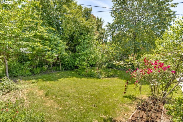 6220 SW 45th Ave, Portland, OR 97221 - view of grassy yard