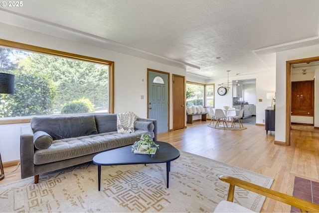 6220 SW 45th Ave, Portland, OR 97221 - living room featuring light wood-type flooring, a textured ceiling, and baseboards