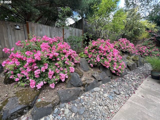 8650 SW Turquoise Loop, Beaverton, OR 97007 - exterior view of a fenced backyard