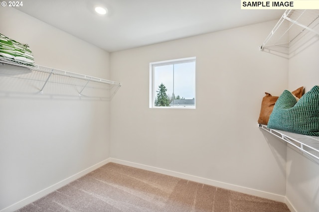 walk in closet with light colored carpet