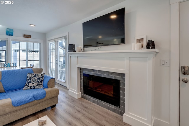 living room featuring a fireplace and light hardwood / wood-style flooring