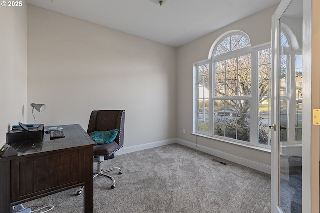 carpeted home office featuring a healthy amount of sunlight