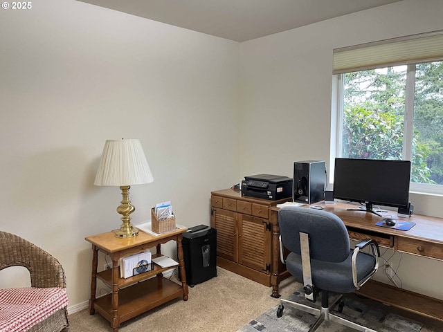 office featuring light colored carpet