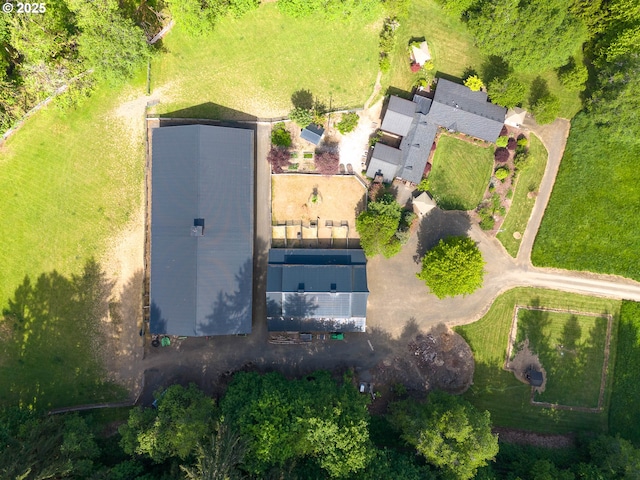 bird's eye view
