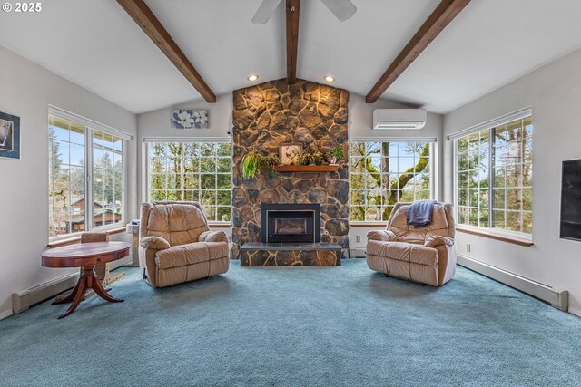 exercise room featuring carpet floors