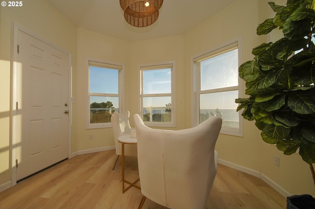 living area featuring light hardwood / wood-style floors