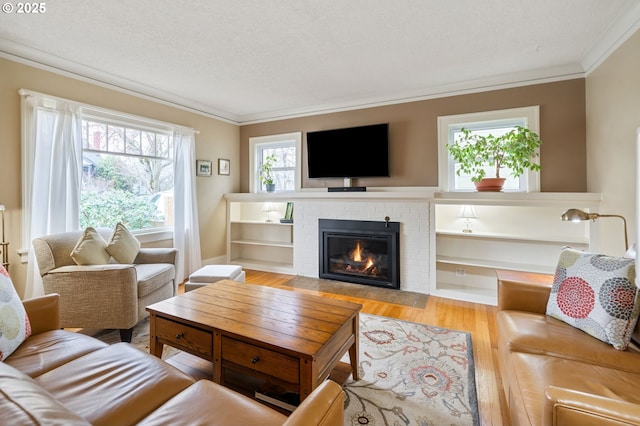 living room with wood finished floors, plenty of natural light, and ornamental molding