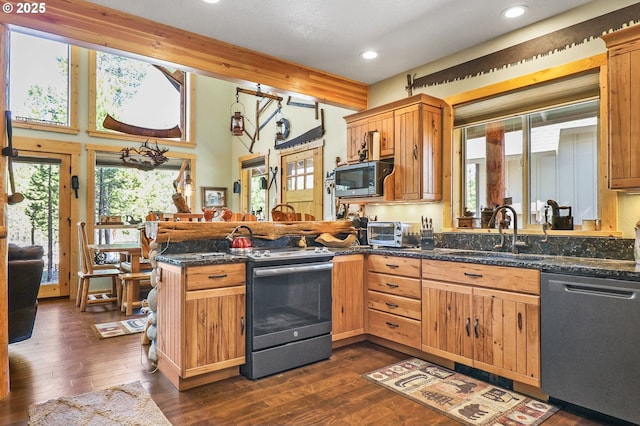 123604 Muttonchop St, Crescent Lake, OR 97733 - kitchen featuring stainless steel appliances, a peninsula, healthy amount of natural light, dark wood-type flooring, and recessed lighting