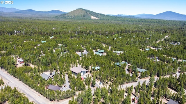 123604 Muttonchop St, Crescent Lake, OR 97733 - aerial view of a forest and a mountain backdrop