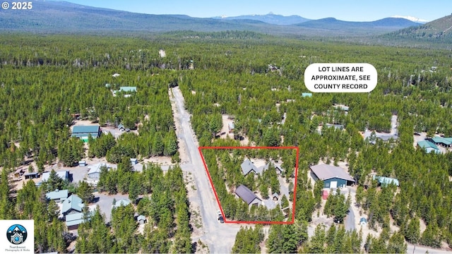 123604 Muttonchop St, Crescent Lake, OR 97733 - aerial overview of property's location featuring property boundaries highlighted