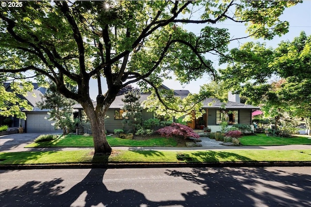 view of property hidden behind natural elements featuring a garage, concrete driveway, and a front lawn