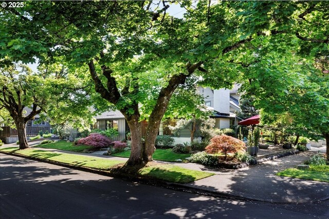 exterior space featuring a front lawn