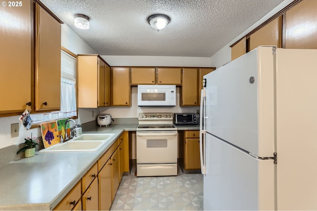 12330 SE Main St, Portland, OR 97233 - kitchen with white appliances, a sink, a textured ceiling, light floors, and light countertops