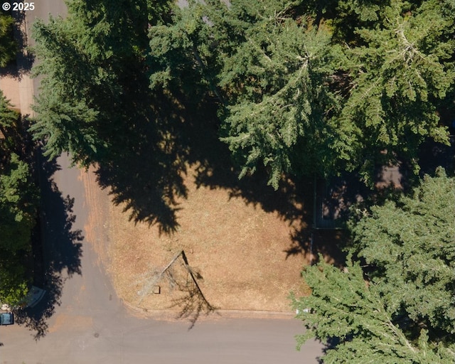 S 69th Pl, Springfield, OR 97478