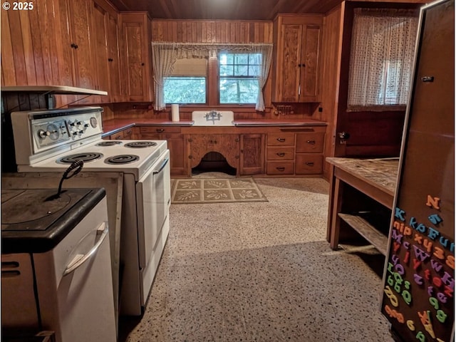 kitchen featuring white electric stove, wooden walls, and sink