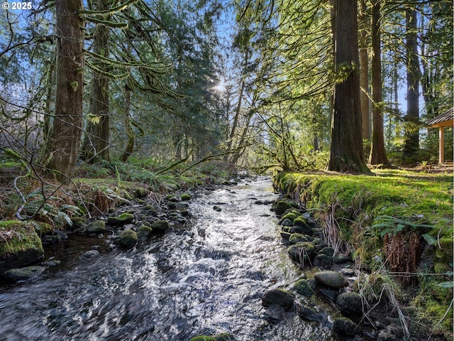 view of local wilderness