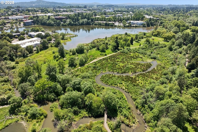 11820 SW Reid Ct, Beaverton, OR 97008 - aerial view of a nearby body of water