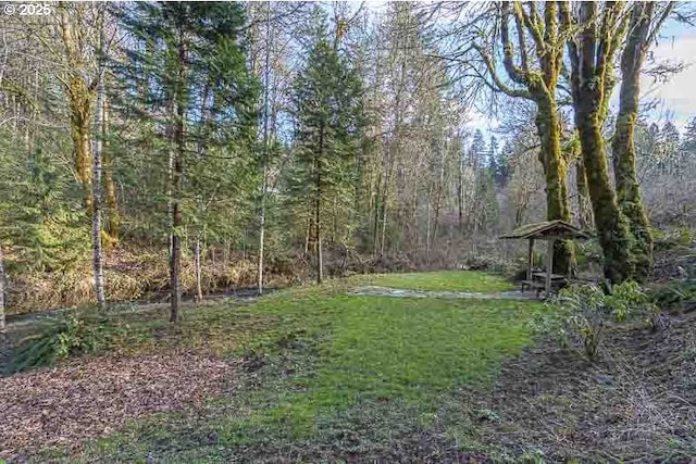 view of yard featuring a wooded view