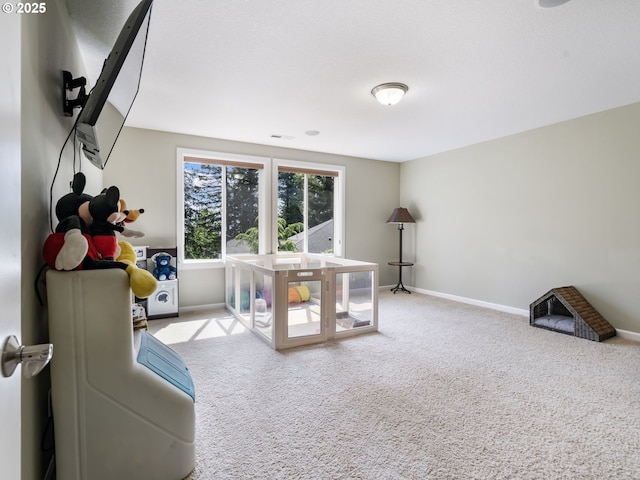 22824 NE 254th Ct, Battle Ground, WA 98604 - living area with carpet and baseboards