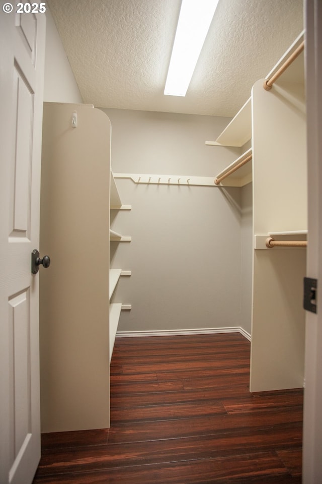 spacious closet with dark hardwood / wood-style floors